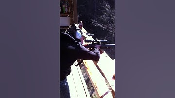 Sure Shot Exploding MAGNUM Targets #2