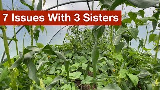 7 Issues With The 3 Sisters