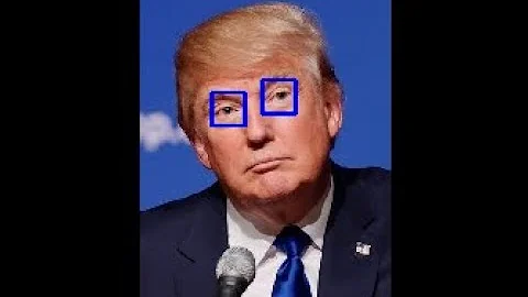 Eye Detection of a Face Image Using Haar Cascade Classifier in Opencv with Python