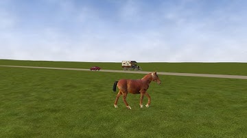Walking horse model Openrails