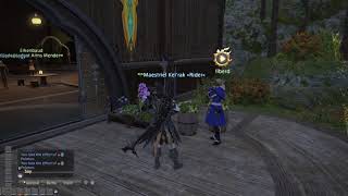FFXIV First Glamour Set - Futuristic Robin Hood