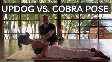 5 Minutes Cobra Vs. Upper Facing Dog || What is the difference? Which one should I do?