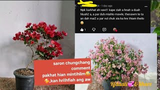 SARON,ENKAWL MANGLOH A AN PAR THEIHNA CHHAN..??