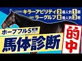 【ホープフルステークス 2021】今秋◎本命が10頭馬券内！混戦を制するイチオシ馬体で今年を締めくくる！某大手牧場の元スタッフが見抜くGIイチオシ馬体！GIフォトパドック【競馬 予想】