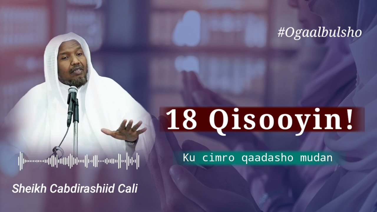 Qisooyin ku cimro qaadasho mudan || Sheekh Cabdirashiid Cali Suufi 