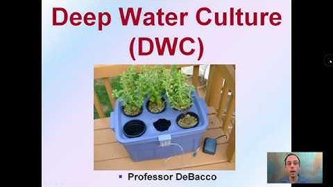 Deep Water Culture (DWC)