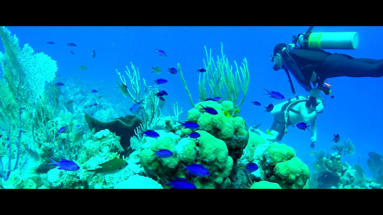 Cobalt Coast Dive Resort - Grand Cayman 4K