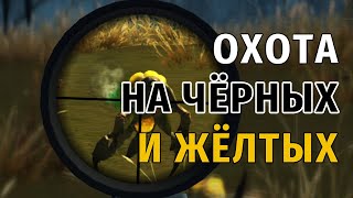 94. Охота на Чёрных и Жёлтых. Сталкер Онлайн | Stalker Online | Stay Out. RU2.