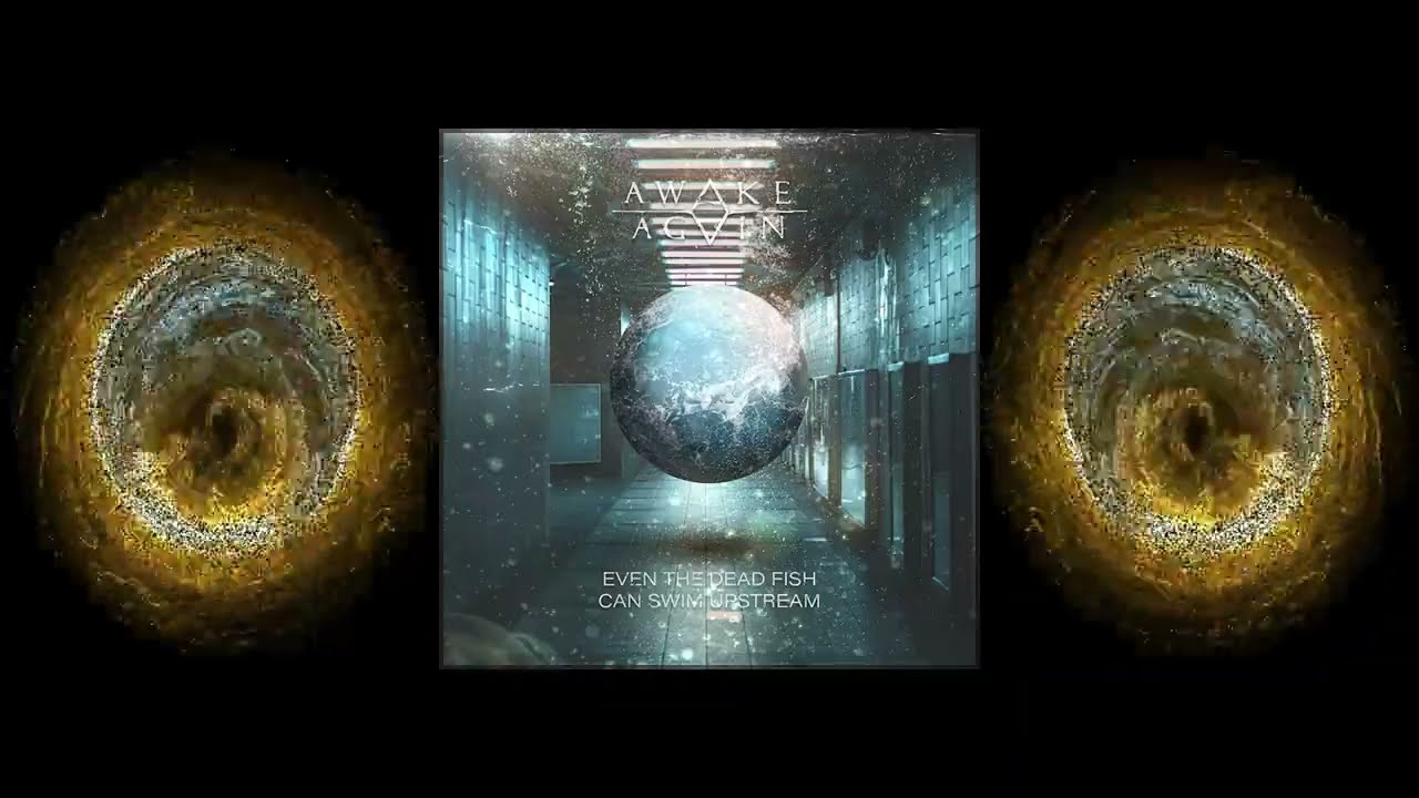 Watch Awake Again - EVEN THE DEAD FISH CAN SWIM UPSTREAM (OFFICIAL AUDIO) on YouTube Watch Awake Again - EVEN THE DEAD FISH CAN SWIM UPSTREAM (OFFICIAL AUDIO) on YouTube