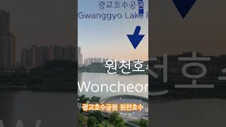 광교호수공원 초화원 영상