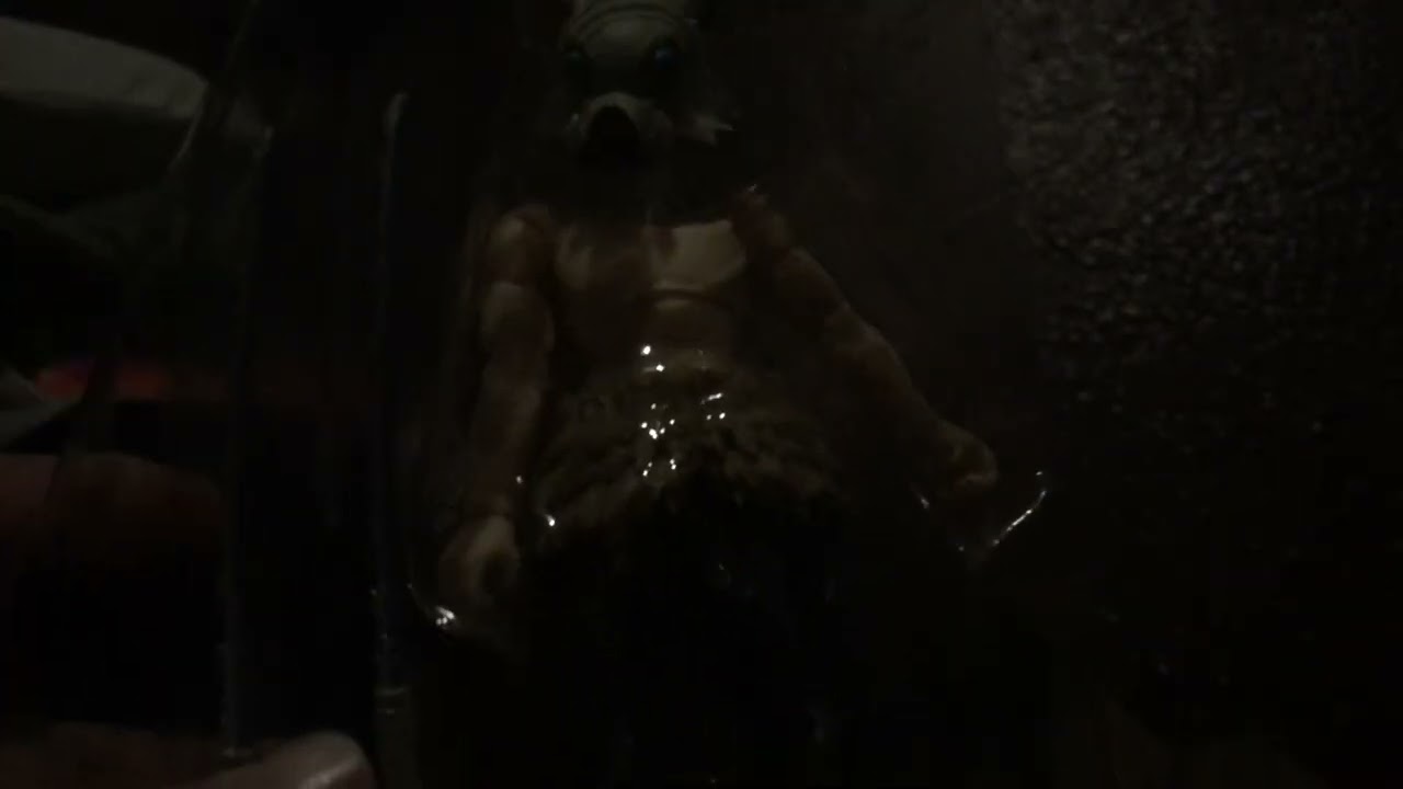My new inosuke figure opening (ft s.s.c.)