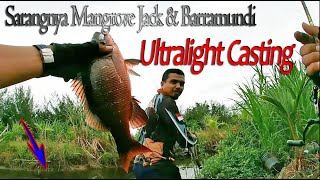 Mancing Barramundi Di Tambak