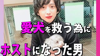 愛犬の命を救う為に、ホストになった男。未経験にして1000万円プレーヤー【group BJ】