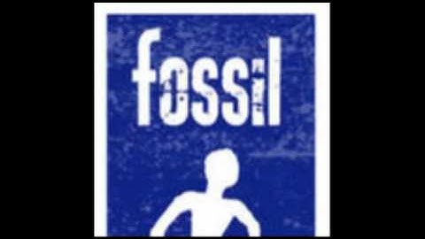 Fossil - Moon