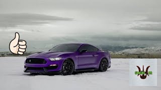 BUILDING BURLCHER'S FORD GT-350 | Gaming_99 THE CREW
