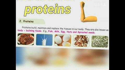 3rd standard science Term 2 - Food ( part 1)