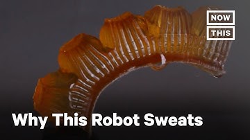 Why This Robot Sweats | NowThis