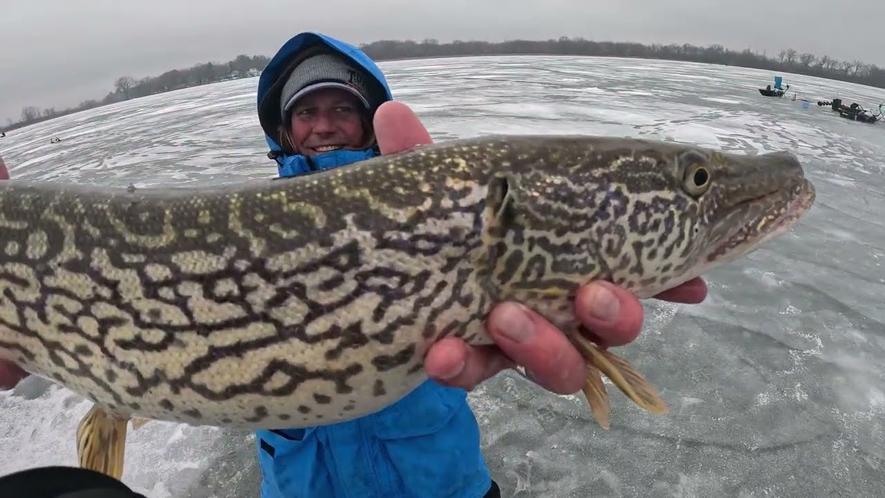 Охота на крупную щуку в глубине Висконсина!