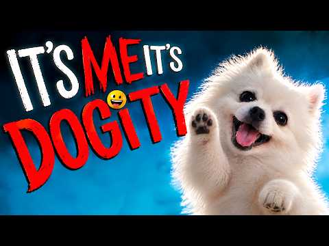 It`s me it`s Dogity