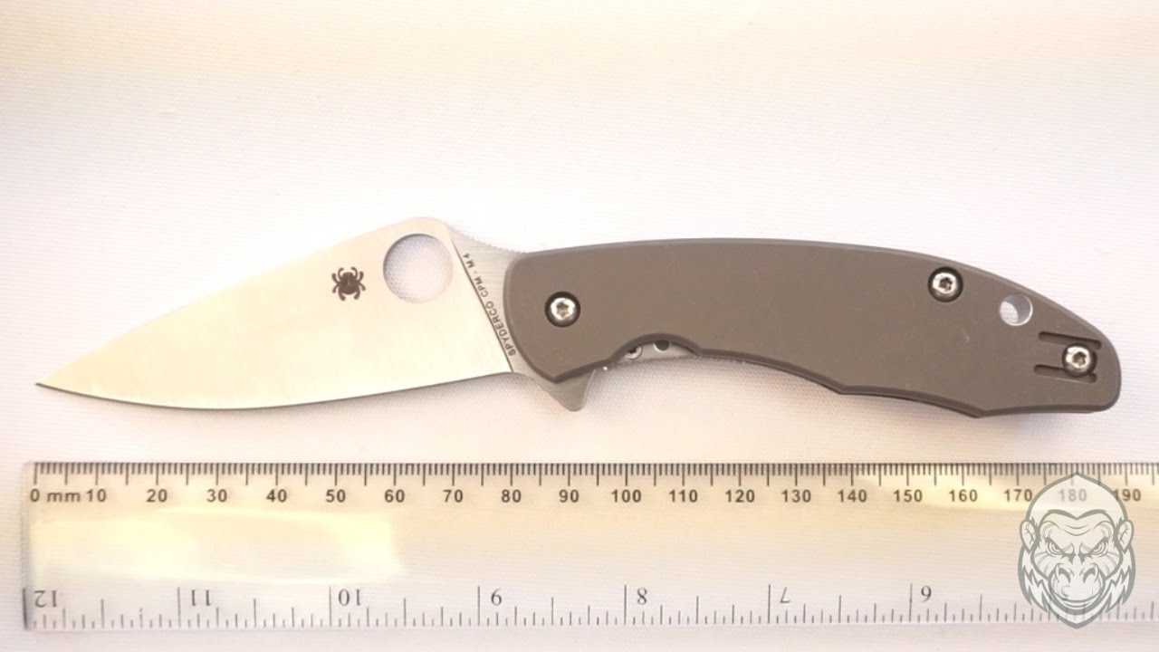 Spyderco Mantra Folding Knife