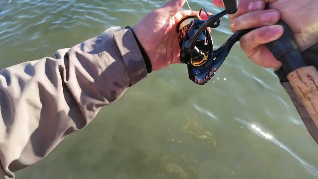 Havsörings fiske mot slutet av säsongen @SeaHooksAbbe 