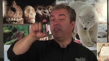 Persistence of Vision