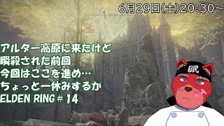 【配信】ELDEN RING＃1４　ソウルライク系初心者が行くELDEN RING、今回はここを探索していきたいにゃ、しかし敵の攻撃が気が重すぎる💦ちょっと生命力を…上げたにゃ（ネタバレ厳禁）