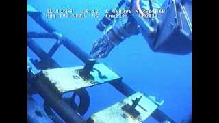 ROV Turning valves with sharks arround