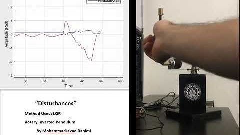 Rotary Inverted Pendulum "disturbances"