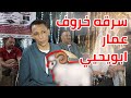 سرقه خروف عمار ابويحيي افراح ال خفاجى باويل سرقه خروف عمار ابويحيي افراح ال خفاجى باويل
