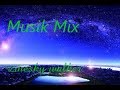 Musik mix 2018  linesky walker