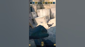 4K bots +1 chicken with an AK | CS2 #gamingshorts #shorts #counterstrike