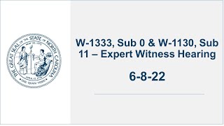 W-1333, Sub 0 & W-1130, Sub 11 – Expert Witness Hearing