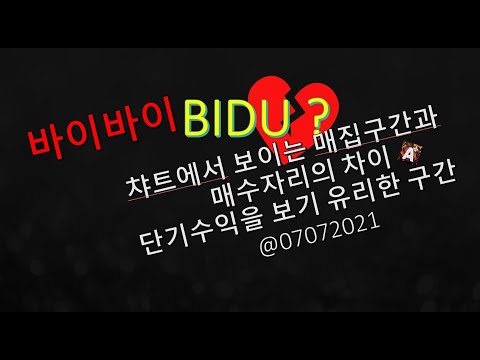 잘가라 바이두 바이바이 해야할까 BIDU 