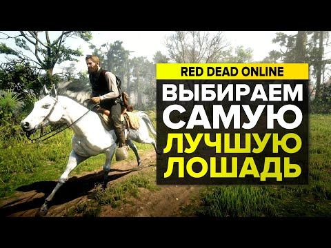 САМАЯ ЛУЧШАЯ ЛОШАДЬ В RED DEAD ONLINE | СОВЕТЫ RED DEAD REDEMPTION 2