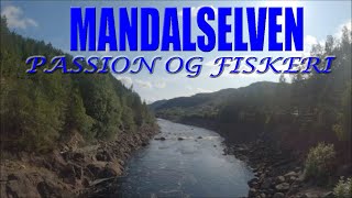 MANDALSELVEN  PASSION OG FISKERI.  Salmon fishing  Fly tying  Mandalselva  South Norway