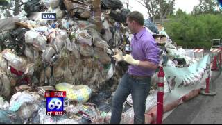 Matt Johnson Reporter 2012.mp4