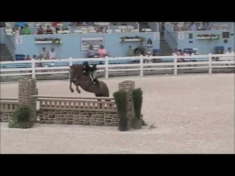 Brunello & Elizabeth Towell Boyd - Devon 2010 Hunter Derby