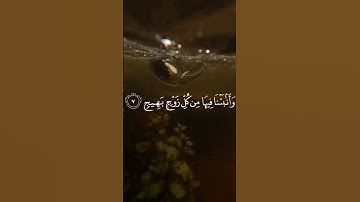 سورة ق بصوت إسلام صبحي