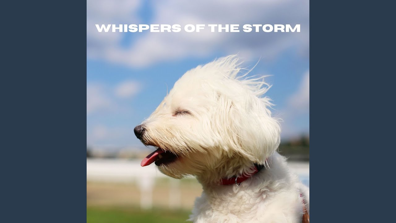 Hushed Storm Whispers (Loopable, No Fade)