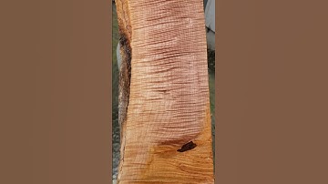 curly maple 1 piece (B366) orcedar.com free shipping