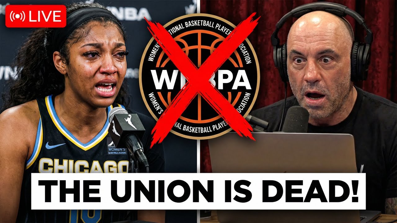 Джо Роган отреагировал на то, как звёзды WNBA борются друг с другом за прямые предложения!