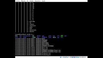 Guia instalacion y administracion de sistemas operativos linux | Centos
