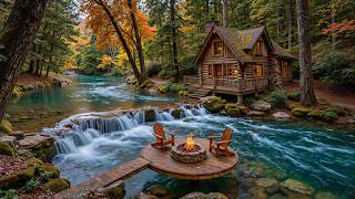 Summer Meets Autumn 🍁 Cozy Riverside Piano Music with Birdsongs for Study & Relaxation screenshot 2