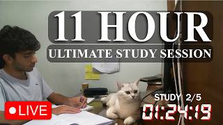 11 HOUR Study With Me | Live | Deep focus study session | Light rain sounds 🌧️|