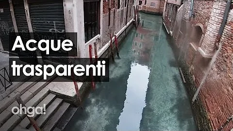 Quanto è inquinata Venezia?