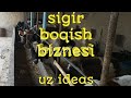 SIGIR BOQISH BIZNESI.