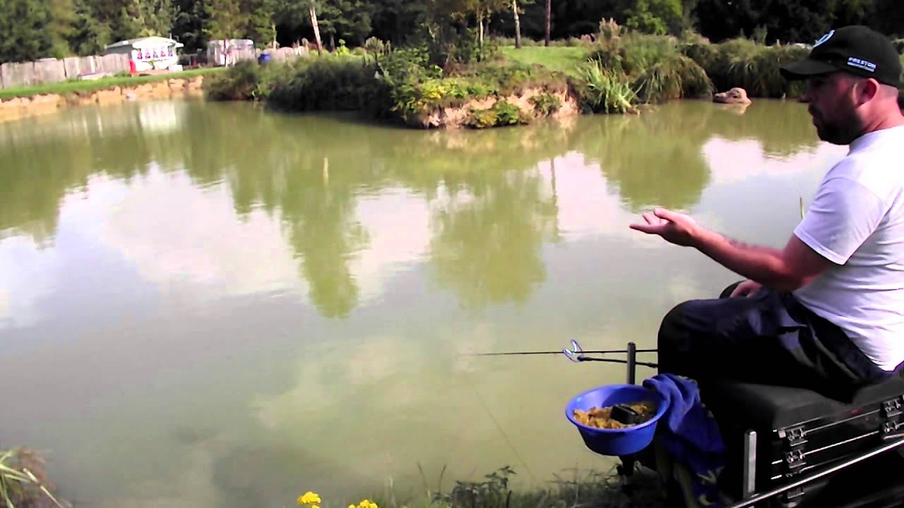 Method Feeder Fishing for F1s and Carp