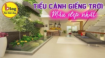 Tiểu cảnh sân vườn - kinh nghiệm thiết kế tiểu cảnh mini giếng trời bao đẹp