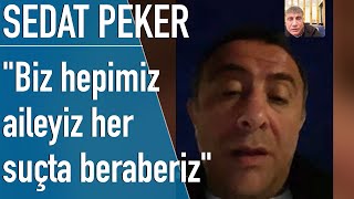 Sedat Peker, Erdoğan'ın yeğeninin eşi Serdar Ekşioğlu ile yaptığı konuşmayı yayınladı